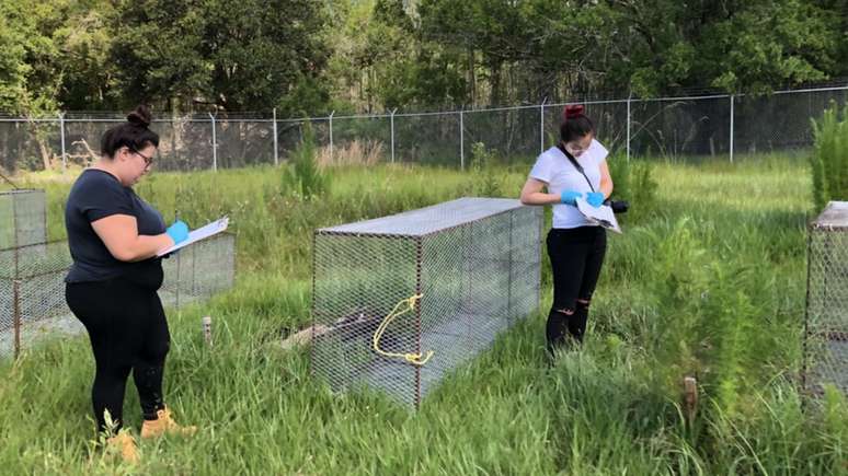 Los investigadores toman datos para ver c&oacute;mo cambian los cuerpos durante varias semanas.