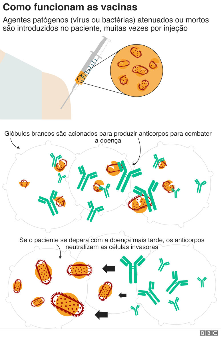 grafico