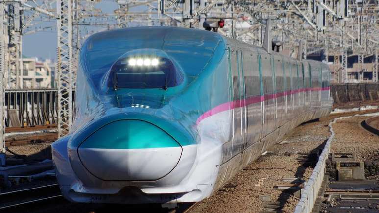 Uma lesma pode ter causado a interrupção da circulação de trens na ilha de Kyushu, no Japão
