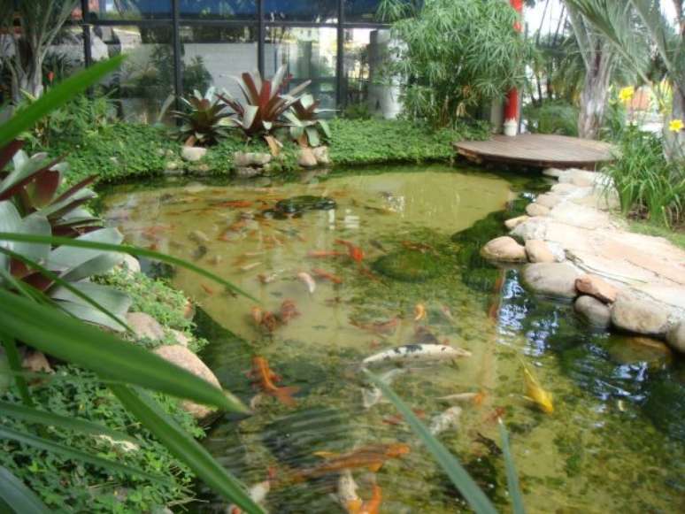 49. O lago artificial com peixes fica ainda mais bonito! Por: Ecovalle