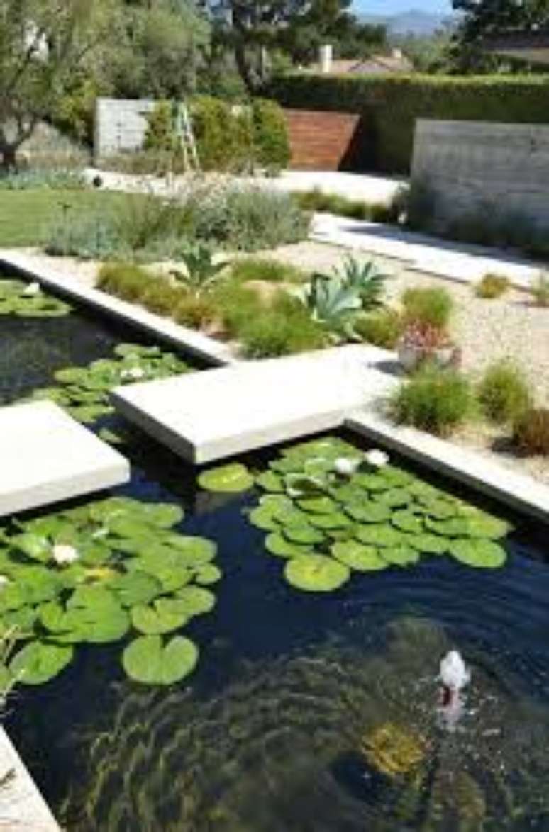 22. Use vitória régia para decorar seu jardim com lago artificial! – Foto: Mauricio Gebara