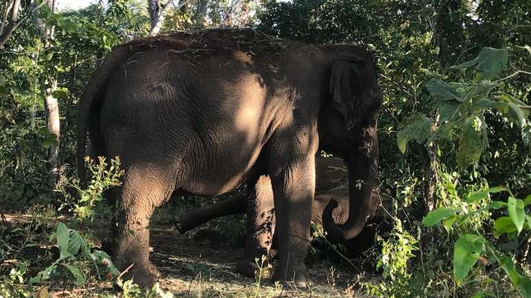 Maia observa o corpo da companheira Guida em santuário na Chapada dos Guimarães