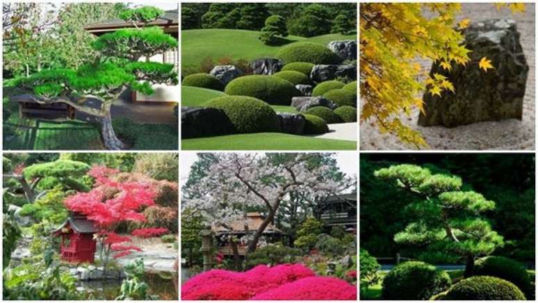 28. Os japoneses tem uma capacidade natural para interpretar o charme das plantas e flores. Fonte: Japão Em Foco