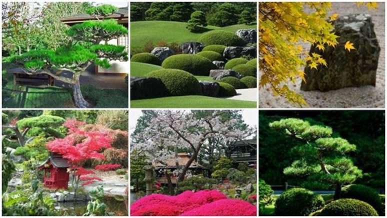 28. Os japoneses tem uma capacidade natural para interpretar o charme das plantas e flores. Fonte: Jap&atilde;o Em Foco