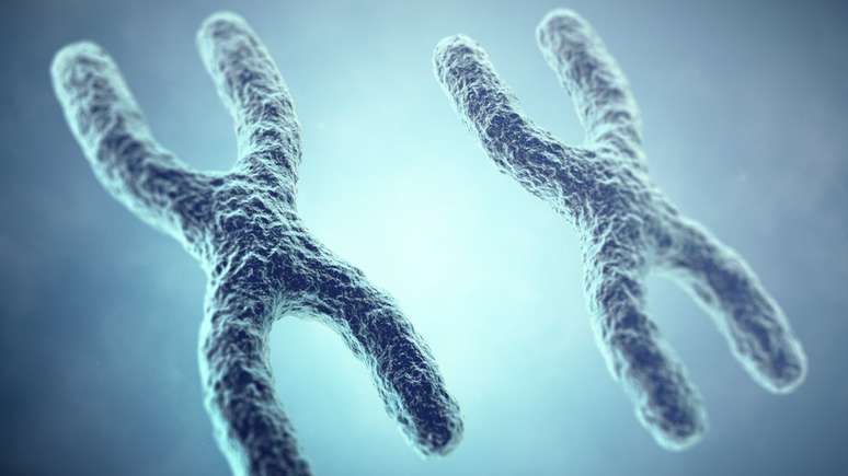 Melissa Wilson acredita que os dois cromossomos X do 23º par de mulheres têm a ver com as diferenças em seus sistemas imunológicos em relação aos homens