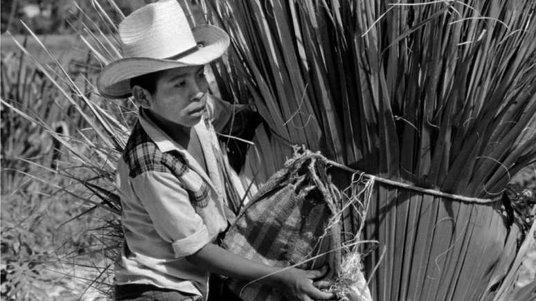 Maioria da popula&ccedil;&atilde;o guatemalteca n&atilde;o tinha acesso a terras cultiv&aacute;veis