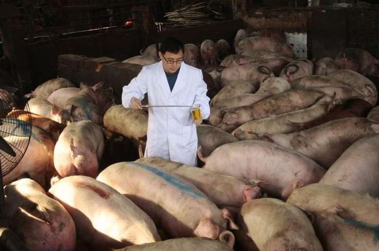 Autoridade sanitária checa porcos em fazenda de Nanjing, Jiangsu, China 
15/03/2011
REUTERS/Sean Yong