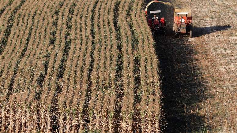 Ministério da Agricultura brasileiro afirmou que produtos nacionais terão tarifas eliminadas