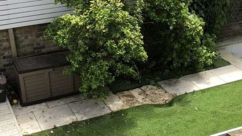 Corpo foi achado num jardim em Clapham, Londres