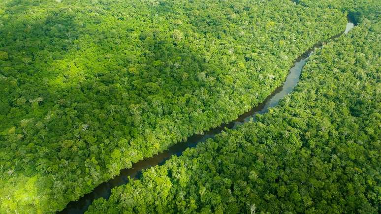 A Noruega é responsável por mais de 90% das doações do Fundo Amazônia