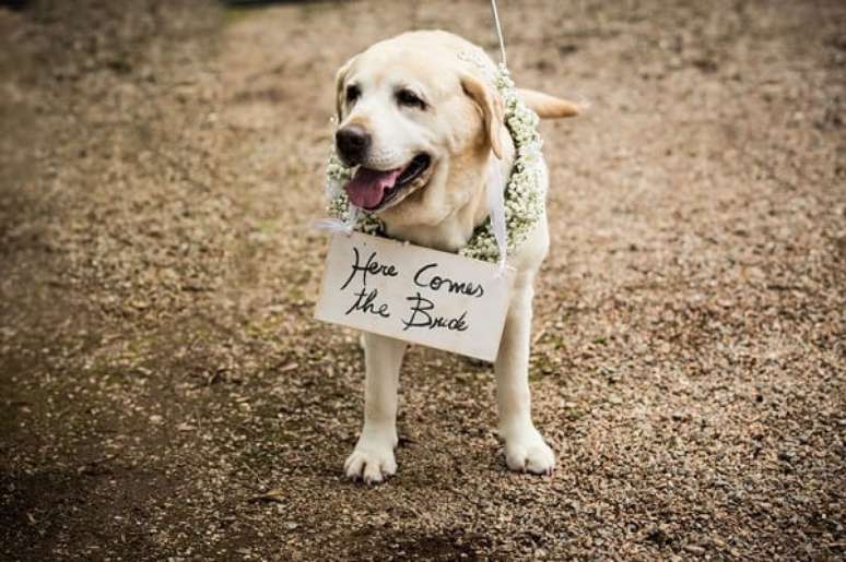 5. Cachorro segurando a plaquinhas para entrada de casamento anunciando a entrada da noiva. Foto Iko Eventos