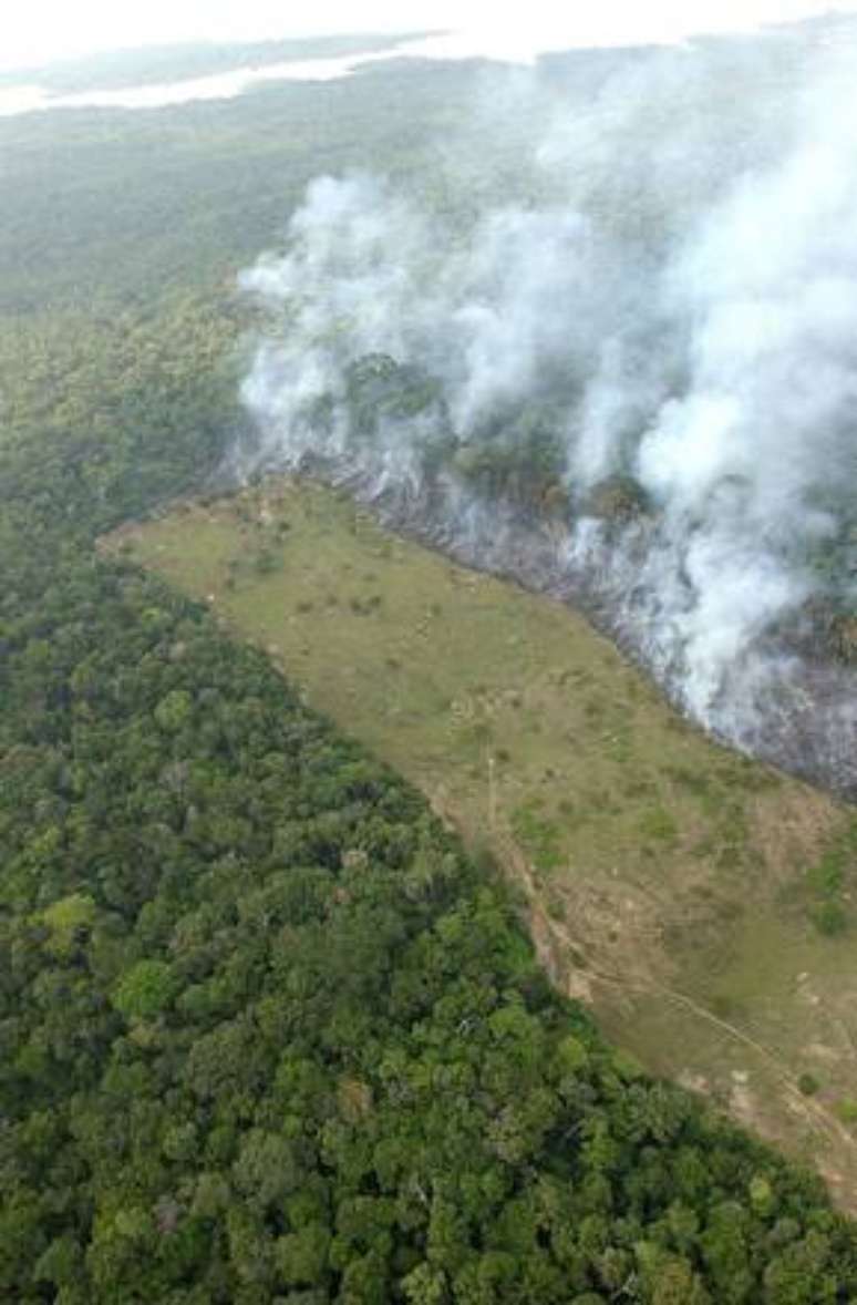 Amazônia sofre com mentalidade cega e destruidora, diz Papa