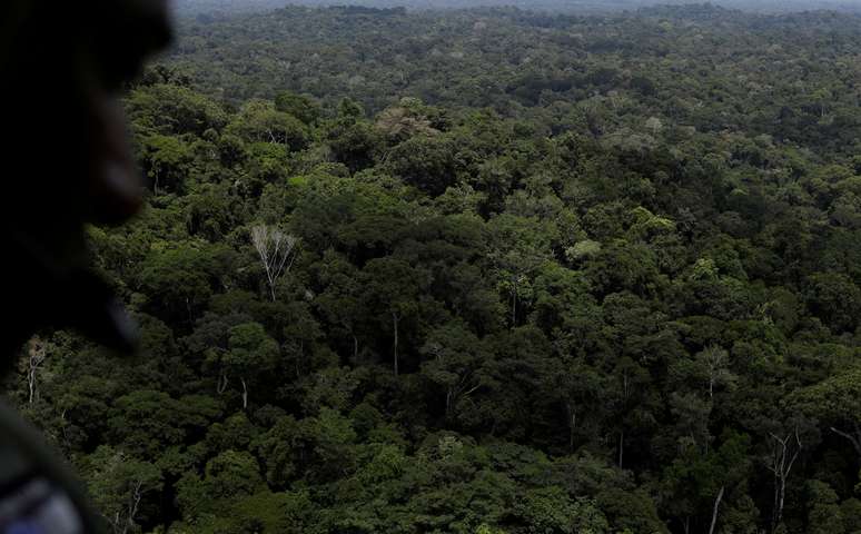 Policial observa floresta amazônica do alto de um helicóptero durante operação do Ibama no Pará
05/11/2018
REUTERS/Ricardo Moraes