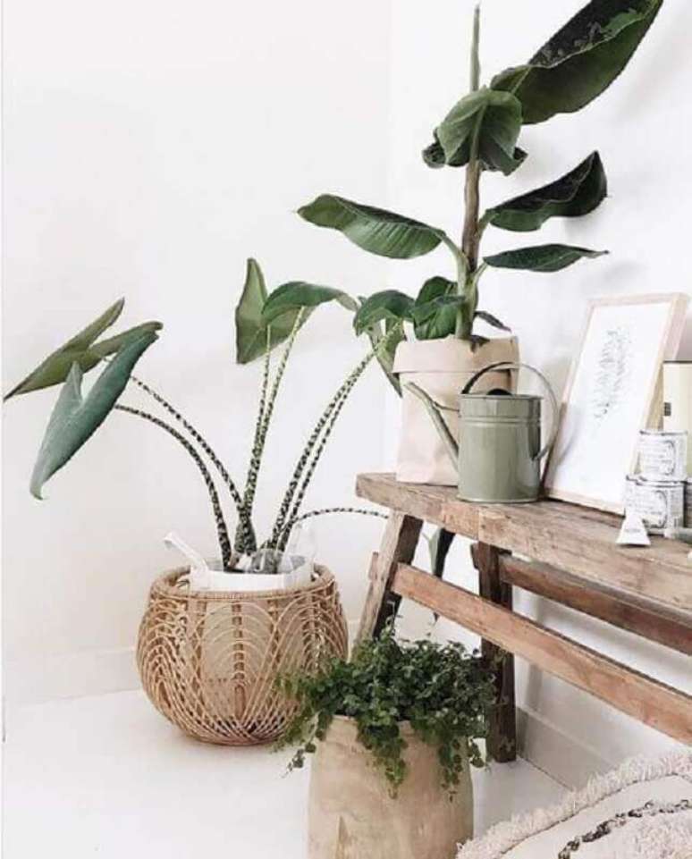 6. Utilize o cesto rattan como cachepot e agregue beleza aos seus ambientes &ndash; Foto: House Plants