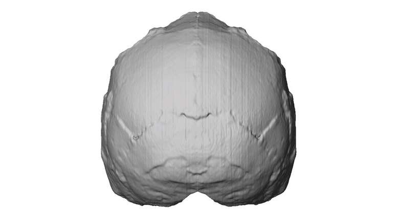 Apidima 1 (ilustrada aqui em uma reconstrução) tem todas as características de um crânio humano moderno, segundo pesquisadores