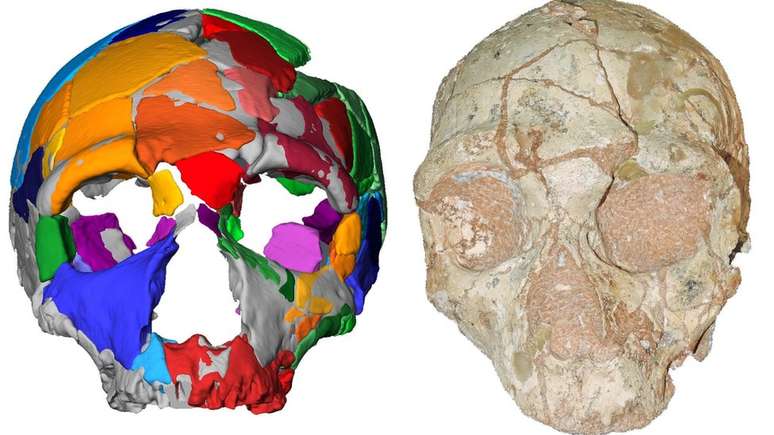 Apidima 2 parece ser de um neandertal e &eacute; um cr&acirc;nio mais novo que o moderno cr&acirc;nio humano encontrado junto