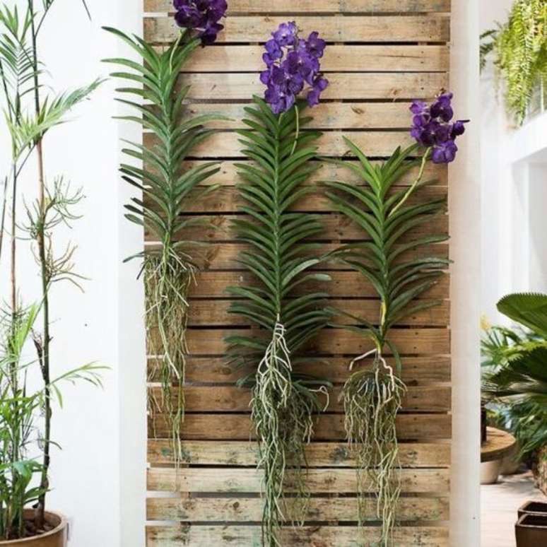 40. A Orqu&iacute;dea Vanda fica muito interessante em pain&eacute;is de madeira. Foto: Tua Casa