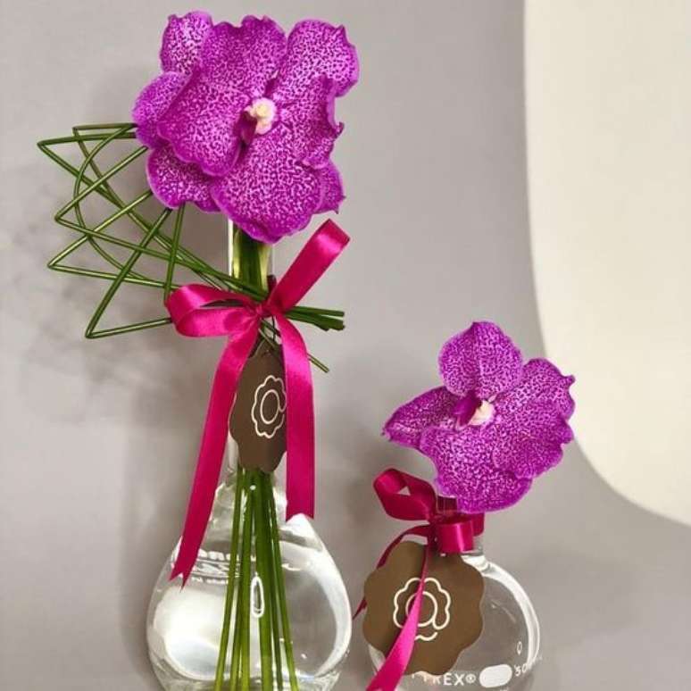10. &Eacute; f&aacute;cil encontrar Orqu&iacute;dea Vanda de diferentes tamanhos. Foto: Instagram