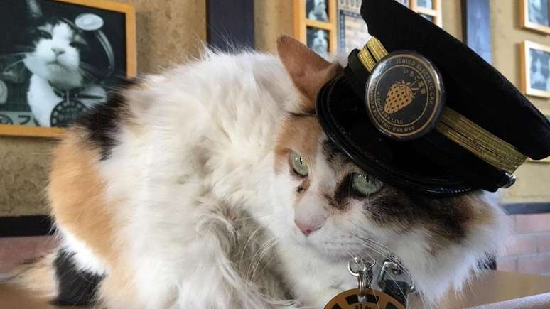 Nitama &eacute; uma das sucessoras de Tama, a mestre de esta&ccedil;&atilde;o original de Kishi