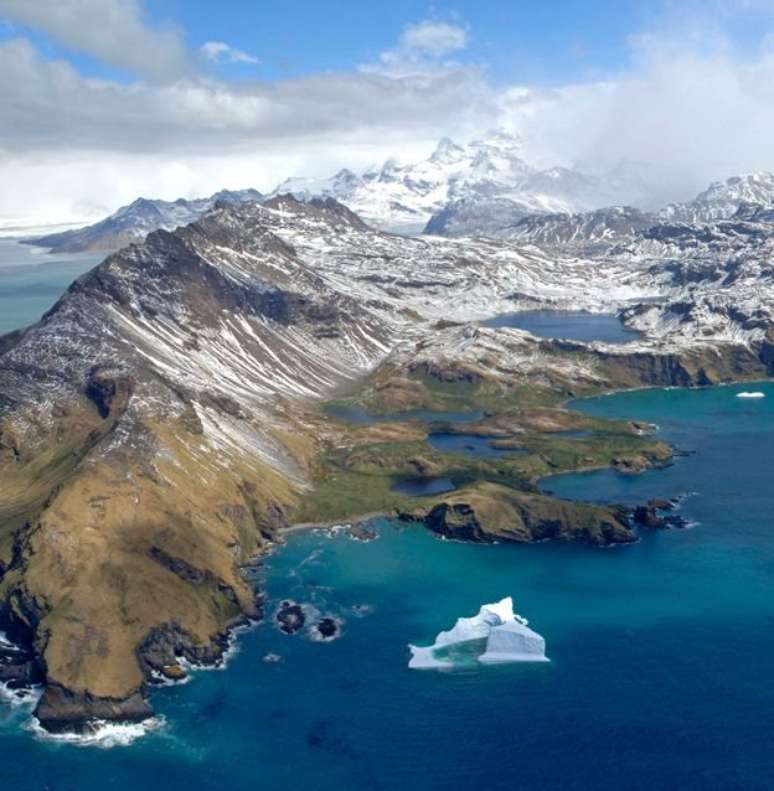 Muitos icebergs acabam indo parar na costa da ilha de Georgia do Sul