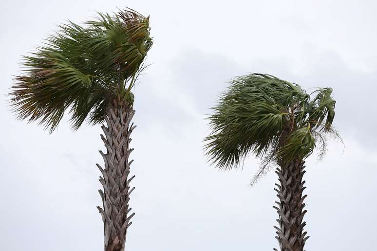 Nova Orleans, Louisiana, EUA. 13/07/2019.  REUTERS/Jonathan Bachman  