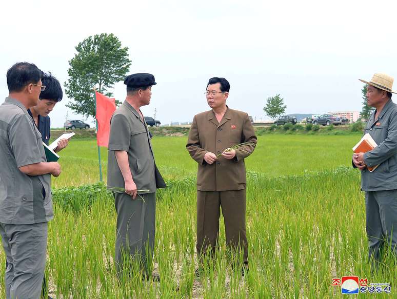 Kim Jae Ryong, membro do Comitê Político Central do Partido dos Trabalhadores da Coreia, inspeciona área de plantação
15/07/2019
KCNA via REUTERS