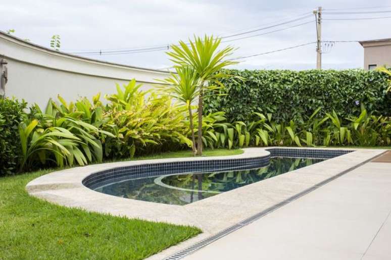 38. &Aacute;reas externas com solos espec&iacute;ficos precisam de tipos de grama espec&iacute;ficos. Projeto de Andr&eacute;a Esteves