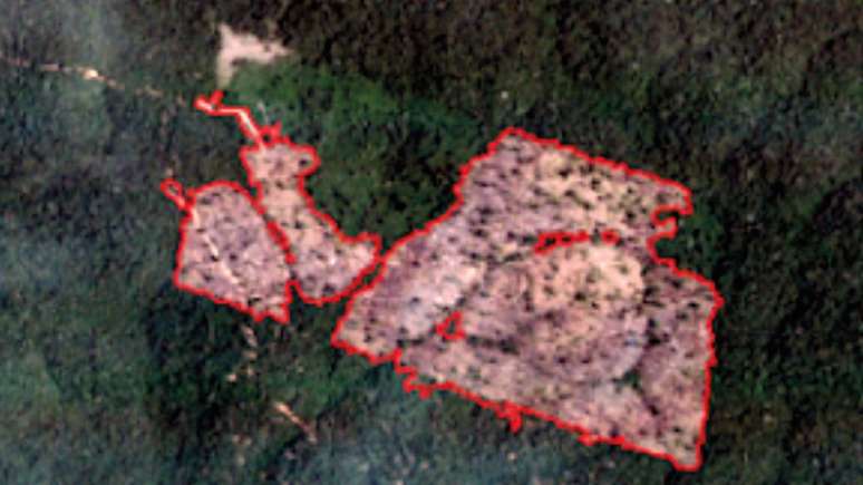 O mesmo trecho de floresta (ponto verde no mapa), mas em 24 de fevereiro de 2019. Neste caso, a floresta foi destruída completamente