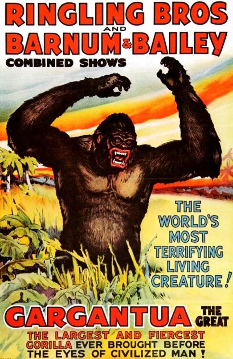 Cartaz do Ringling Bros, tradicional circo americano, anunciando a apari&ccedil;&atilde;o de Gargantua, 'o maior e mais feroz gorila j&aacute; trazido aos olhos do homem civilizado'.