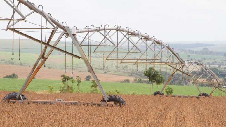 Brasil está entre os países com maior consumo de agrotóxicos em valores absolutos