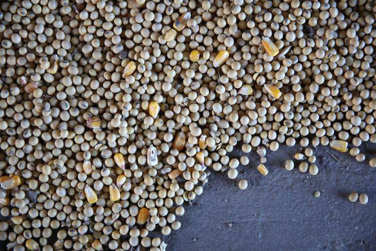 Grãos de soja e milho em fazenda em Buda, Illinois (EUA) 
06/07/2018
REUTERS/Daniel Acker