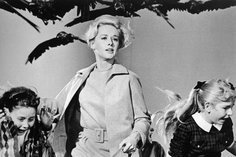 Especialistas dizem que não precisamos temer aves assassinas, como no clássico filme de terror de Alfred Hitchcock, 'Pássaros' (1963)