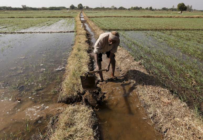 Agricultor capta água para irrigação de plantio de trigo em Ahmedabad, Índia 
15/12/2015
REUTERS/Amit Dave