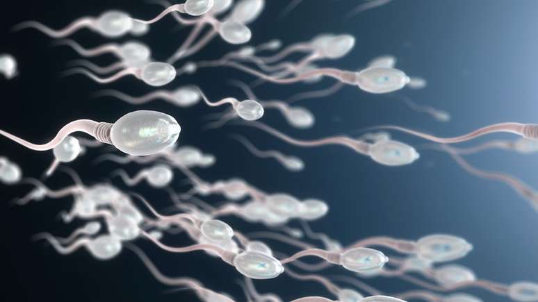 Qualidade de espermatozoides diminui com o tempo, segundo pesquisadores