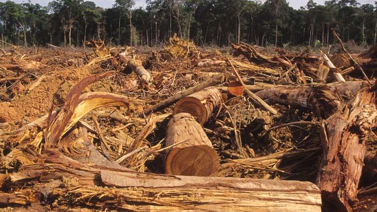 Dados oficiais mostram que o desmatamento na Amazônia é crescente desde 2012