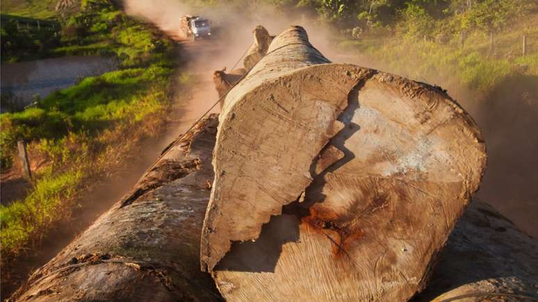 Chefe da Embrapa diz que Brasil é líder em preservação ambiental