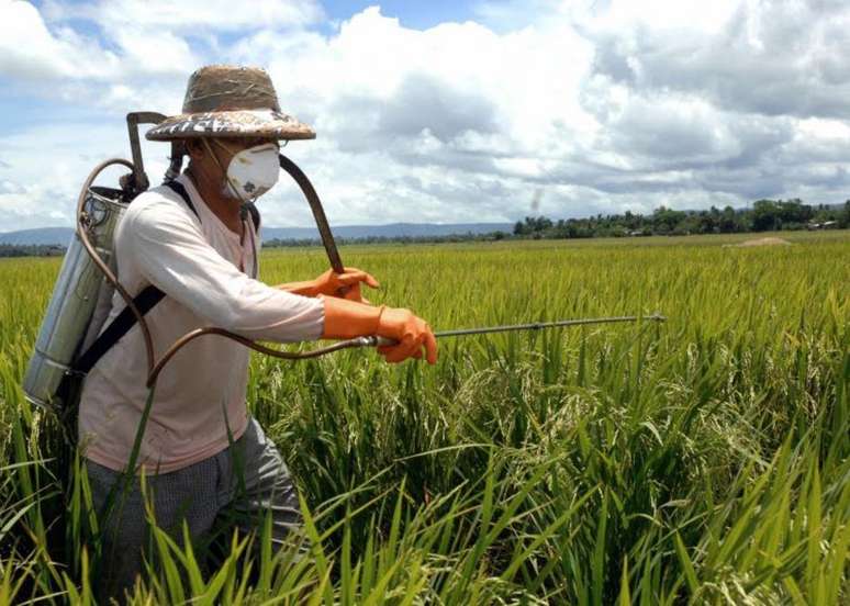 Dos 2,3 mil agrotóxicos registrados hoje no Brasil, de 700 a 800 são considerados 'extremamente tóxicos'