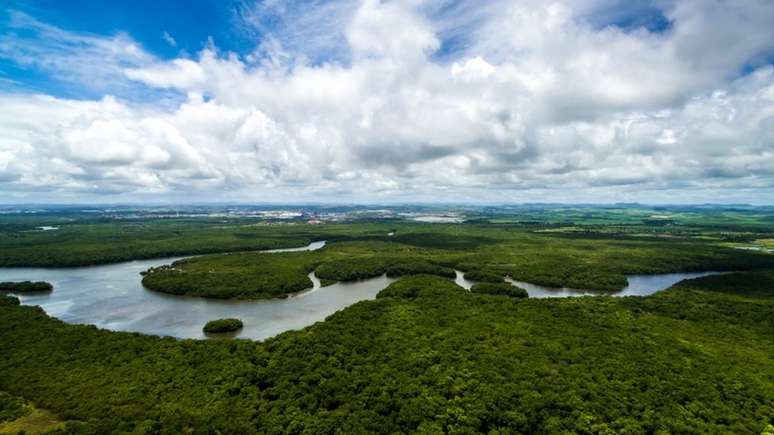 A Floresta Amaz&ocirc;nica &eacute; quest&atilde;o central no debate ecol&oacute;gico internacional