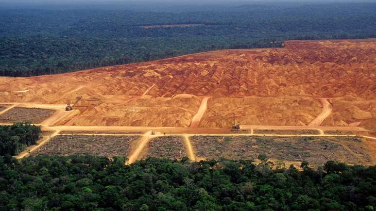 A destruição da vegetação nativa e as mudanças climáticas vão prejudicar diretamente o agronegócio no Brasil.