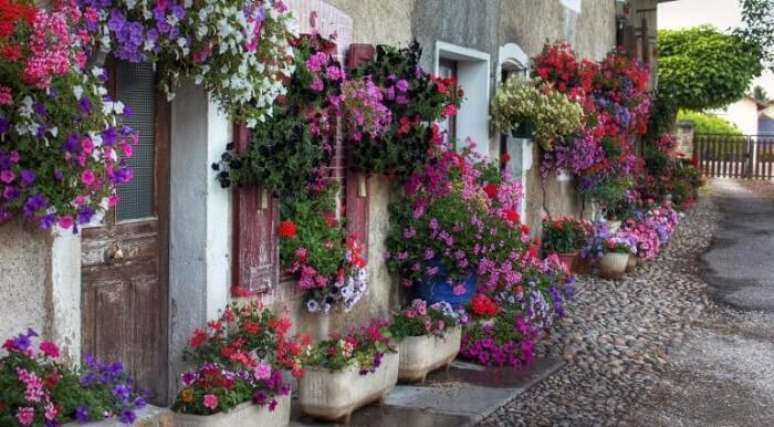 11. Fachada que encantam com a presença de flores de petúnia. Fonte: Pinterest