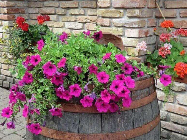 37. Flores de petúnias cultivadas em cima de um barril de madeira. Fonte: Pinterest