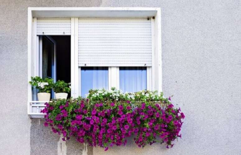 16. Flores de petúnia cultivadas em jardineira. Fonte: Pinterest