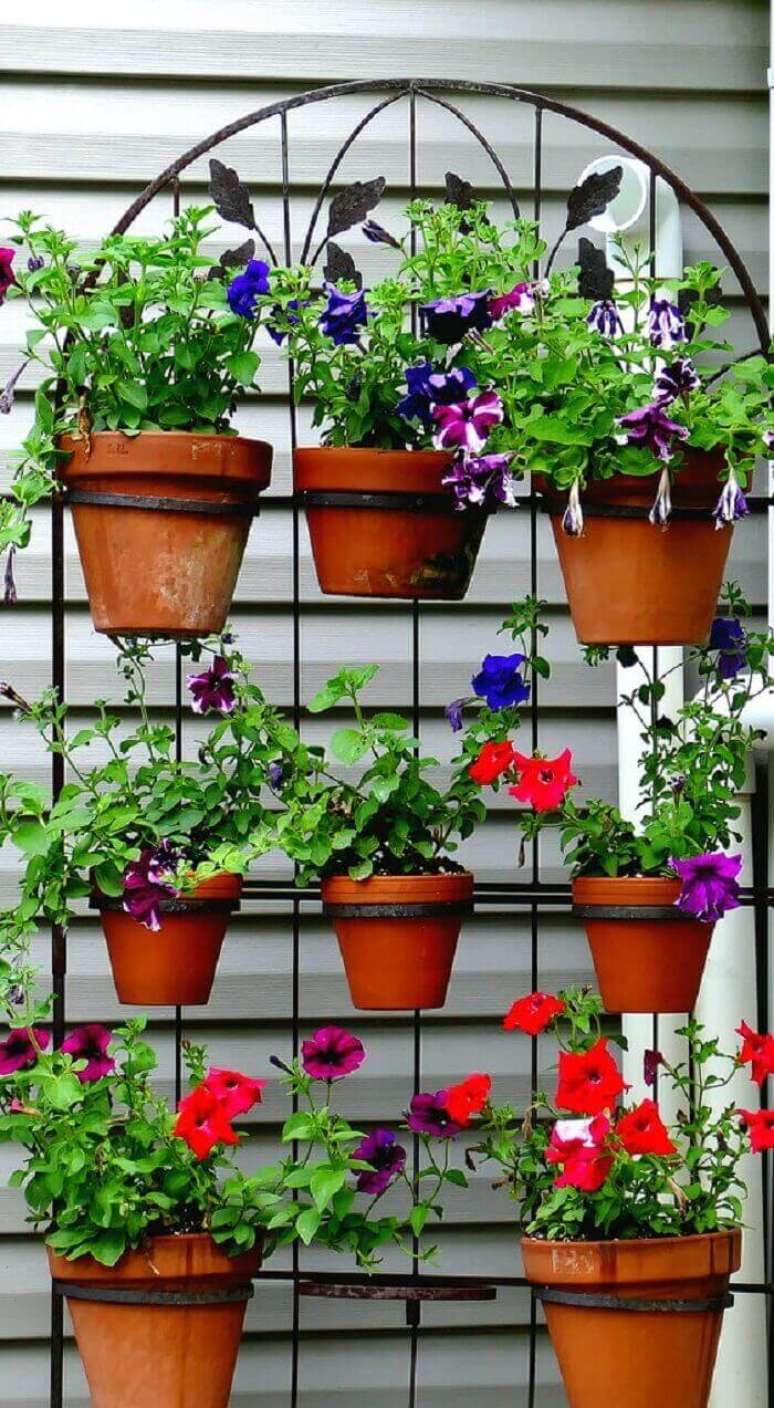 41. Flores de pet&uacute;nia cultivadas em vaso. Fonte: Fiveprime