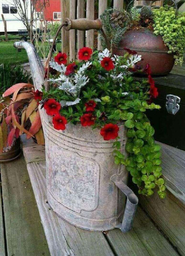20. Flores de petúnia em tom vermelho cultivadas em um regador. Fonte: Pinterest