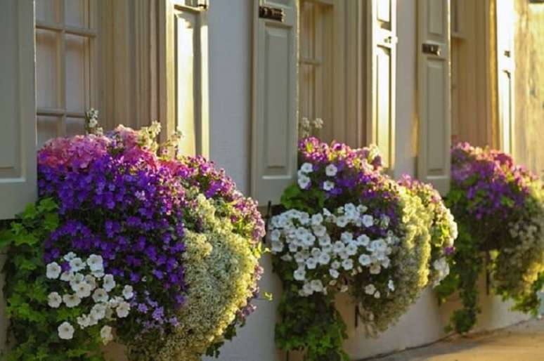 42. Flores de petúnias encantam a decoração de fachada desta casa. Fonte: Pinterest