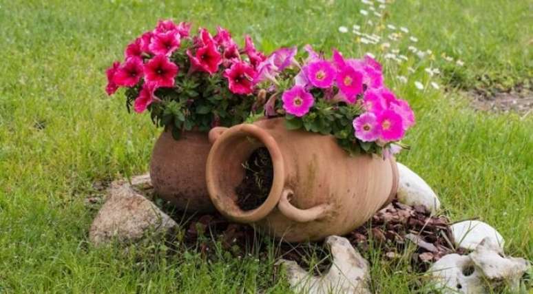 24. Flores de petúnias sendo cultivadas em vasos de barro. Fonte: Pinterest