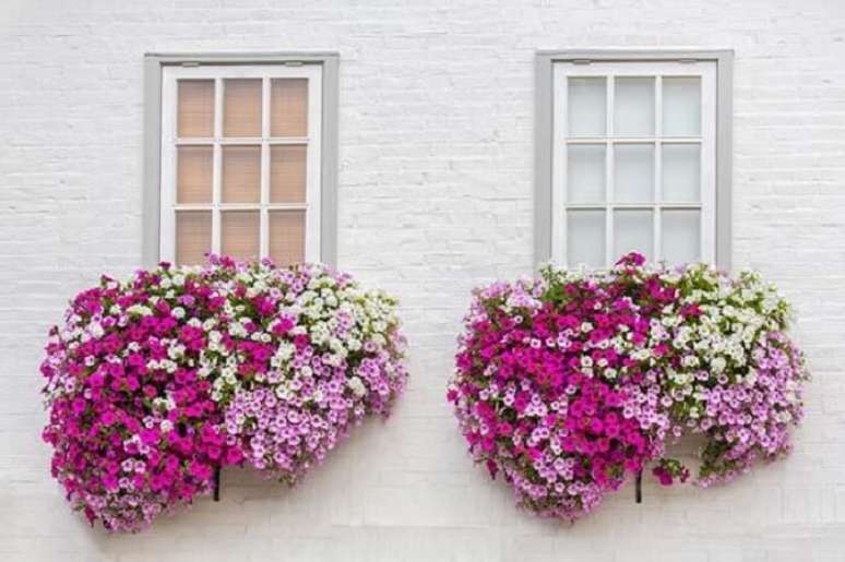 51. Petúnias cultivada em vasos encanta a decoração da fachada desta casa. Fonte: GreenMe