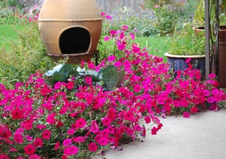 58. Petúnias de cor rosa cultivadas em um lindo jardim. Fonte: Pinterest