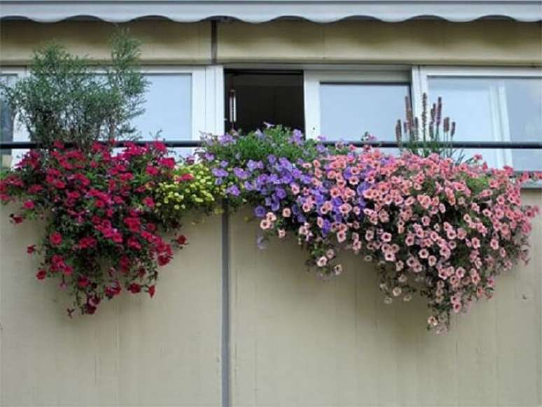 59. Petúnias em tonalidades variadas encantam a decoração da fachada desta residência. Fonte: Bonde