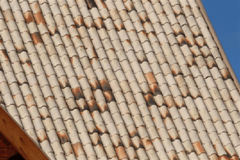 13. Foto: Com a telha portuguesa voc&ecirc; garante resultados incr&iacute;veis. Cer&acirc;mica Forte